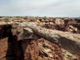Moab-White Rim 4-08 026